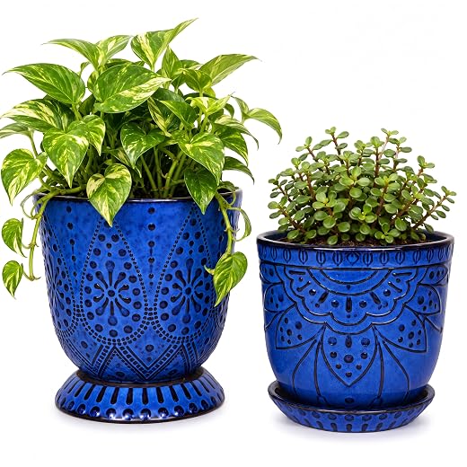 Gepege Ceramic Plant Pots, 6 Inch Indoor Planters with Drainage & Saucers