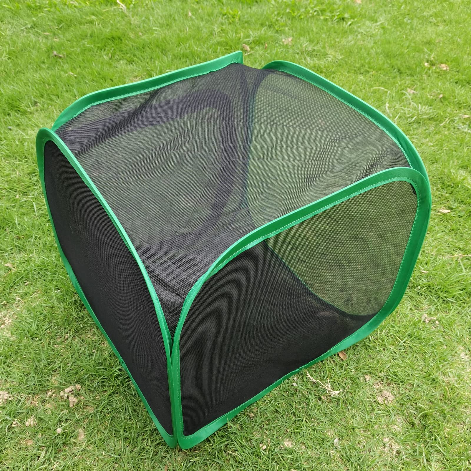 Terrari per Insetti, Gabbia per Habitat Farfalla di Mesh Pieghevole Trasparente, Casetta per Farfalle Gabbia di Pianta Allevamento Piantine, 30 x 30 x 30 cm