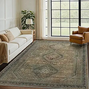 GENIMO 3x5 Vintage Area Rug, Machine Washable, Non Slip & Low Pile Lightweight for Living Room, Entryway, Bedroom, Kitchen, Brown