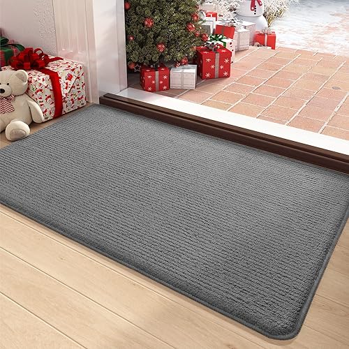 Color&Geometry Tapete para puerta delantera, atrapador de suciedad, absorbente, antideslizante, lavable, tapete para puerta interior de 24 x 36