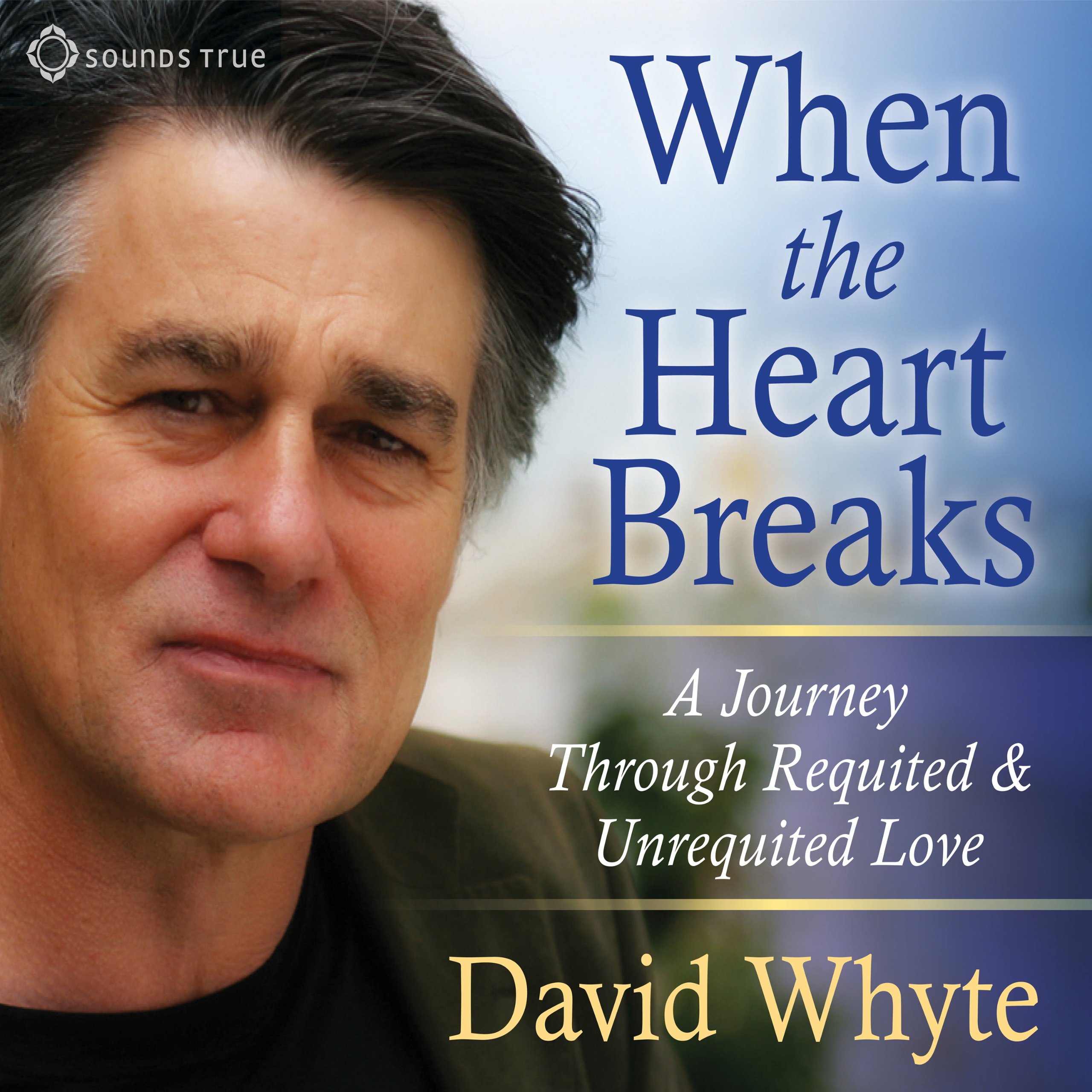 Cover art for When the Heart Breaks