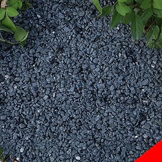 18lb Black Cactus Pea Gravel Rocks,1/4 Inch Pebbles for Indoor Plants, N...