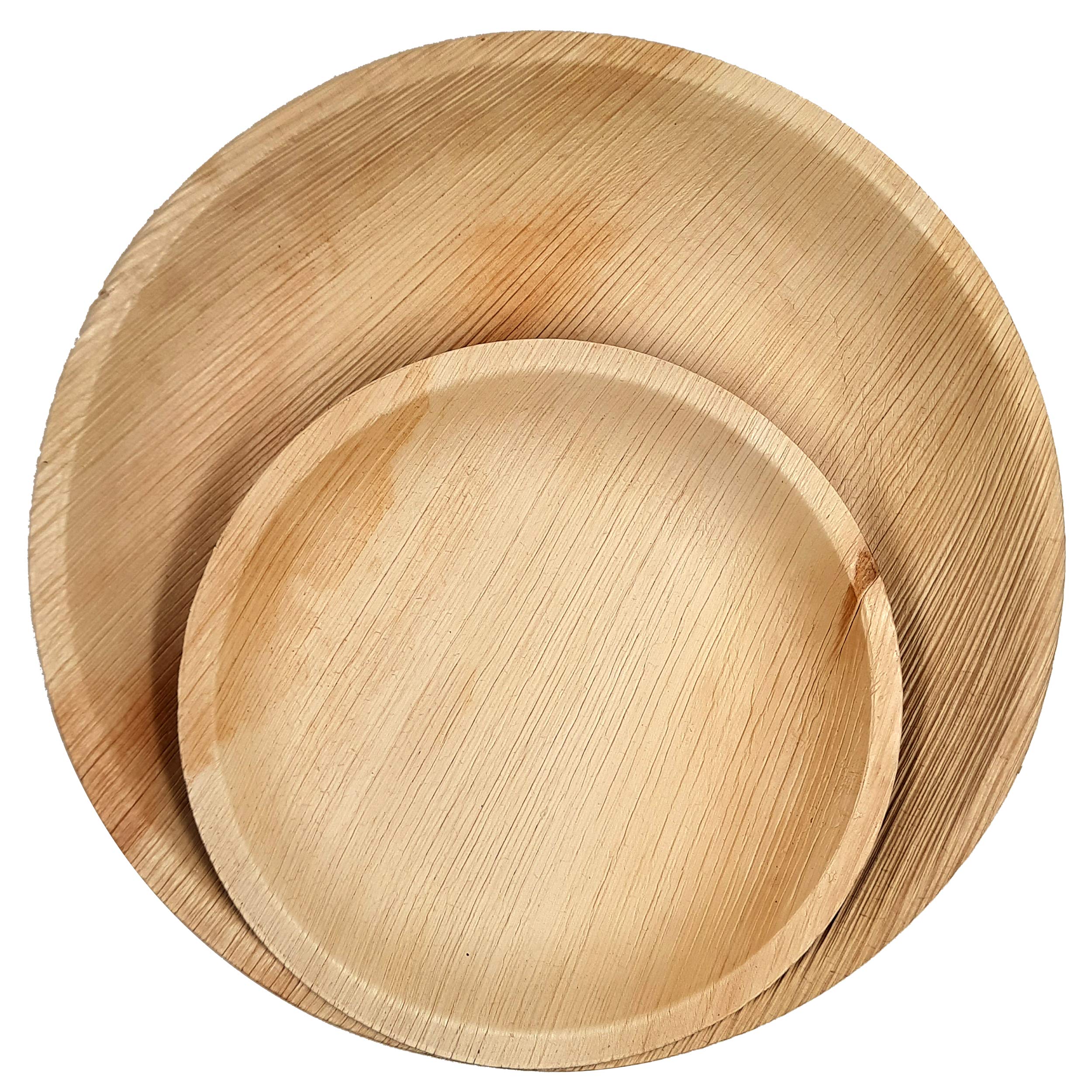 Box of Dtocs Palm Leaf Plate Bamboo Plate Like 10 Inch Dinner Plates