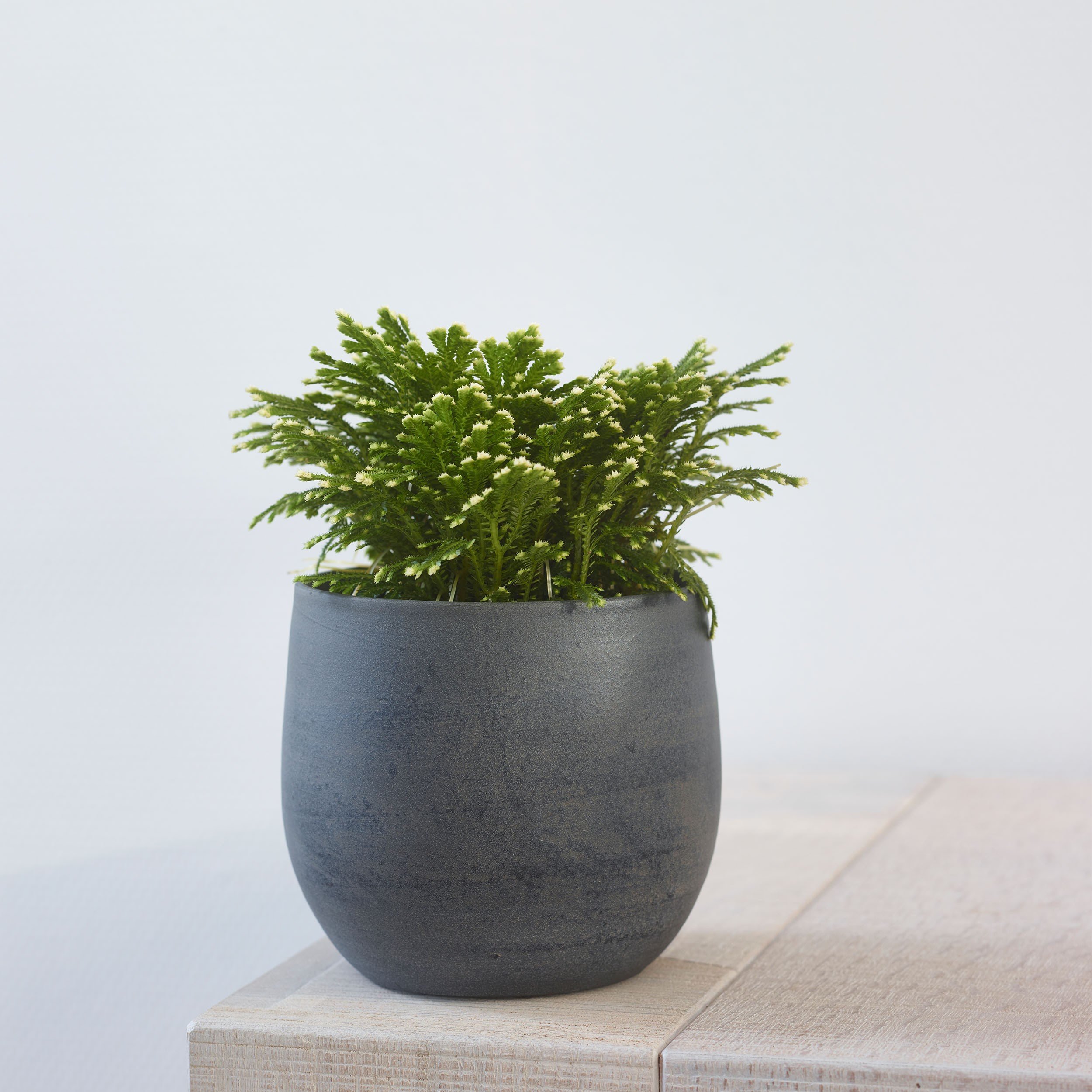 Ivyline Keramik Blumentopf Esra Ø 18 cm, Höhe 16 cm, handgefertigt, grau Übertopf für Zimmerpflanzen Garten