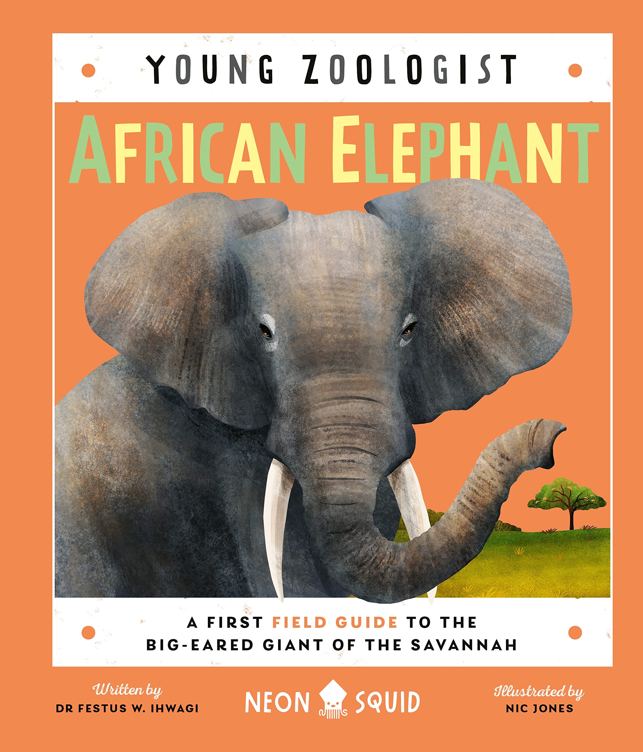African Elephant (Young Zoologist): A First Field Guide to the Big-Eared Giant of the Savannah: 4