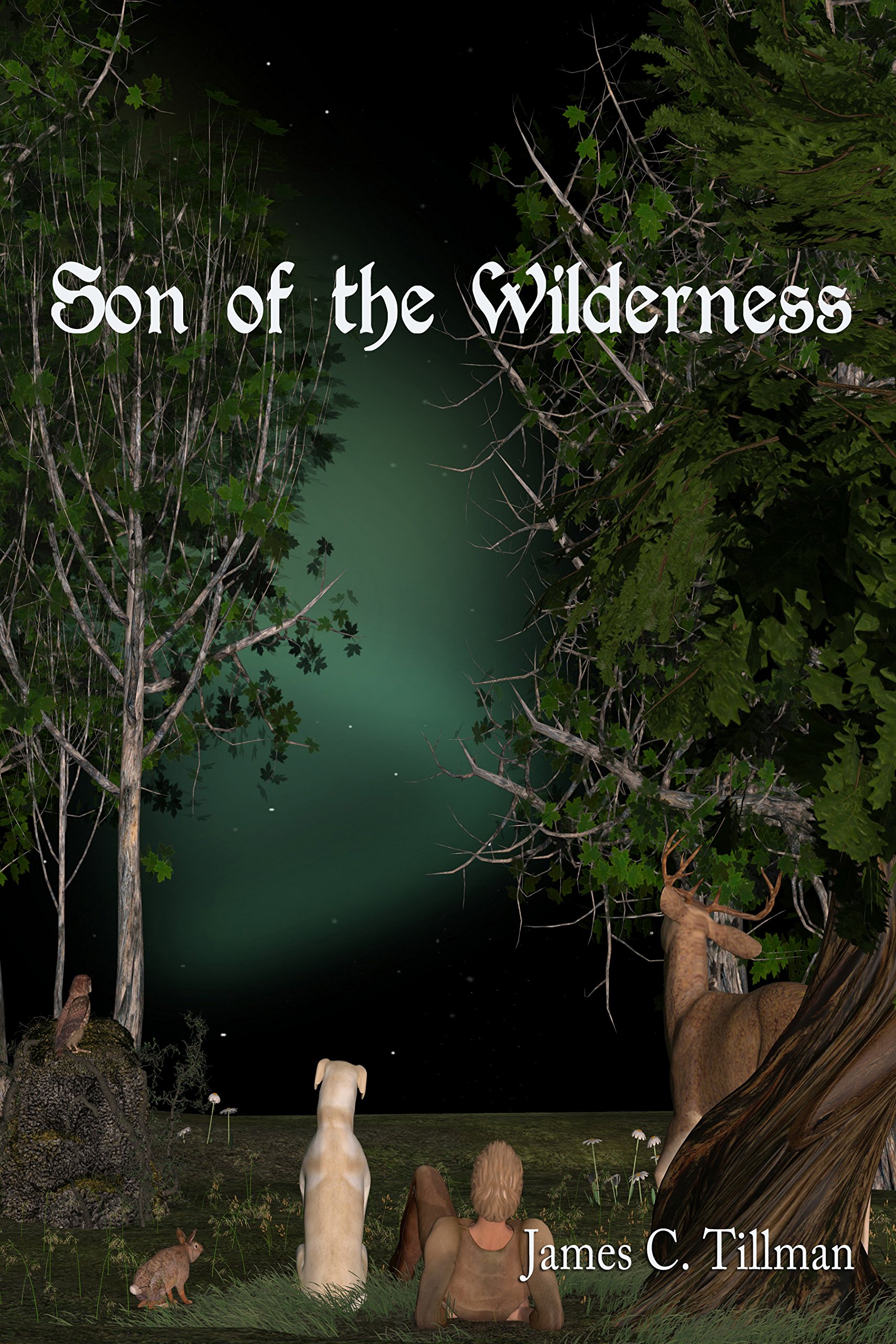 Son of the Wilderness (The Kingdom Chronicles Book 1)