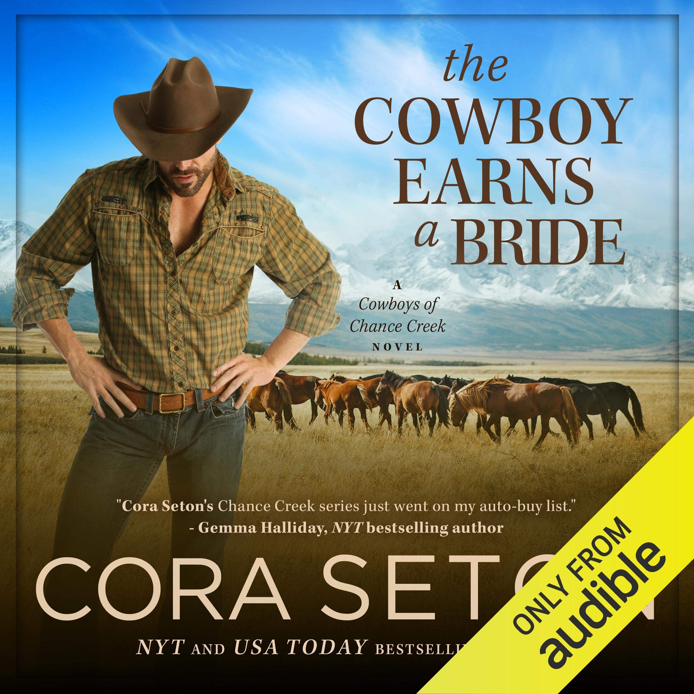 Cover art for The Cowboy Earns a Bride