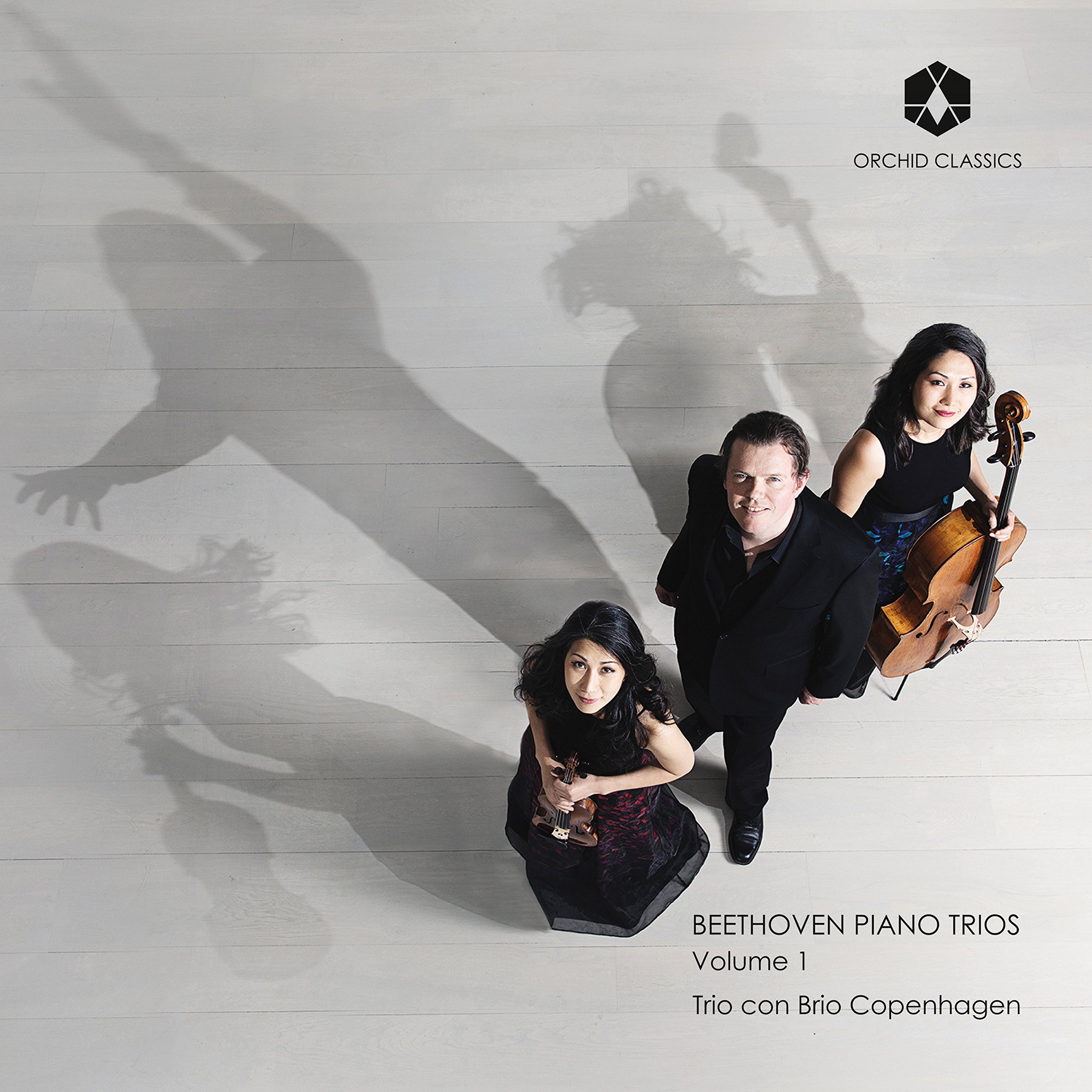 Ludwig van Beethoven: Piano Trios Volume I