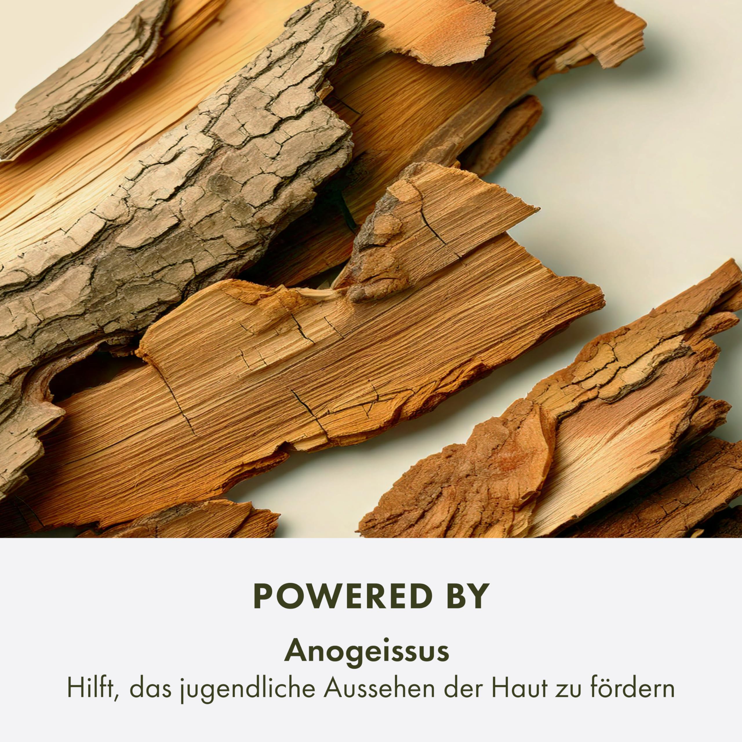 Origins Plantscription Anti-Aging Power Night Cream 50 ml | Reduziert sichtbar feine Linien