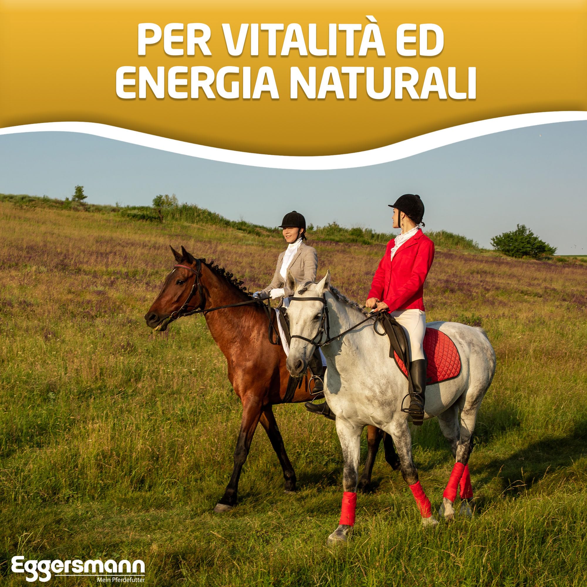 Eggersmann Fiocchi di Mais 15 kg – Mangime Unico per Cavalli e Pony – Ideale in Caso di Maggiore Potenza e Animali indeboliti – Fornisce energia e Supporta L'Aumento di Peso