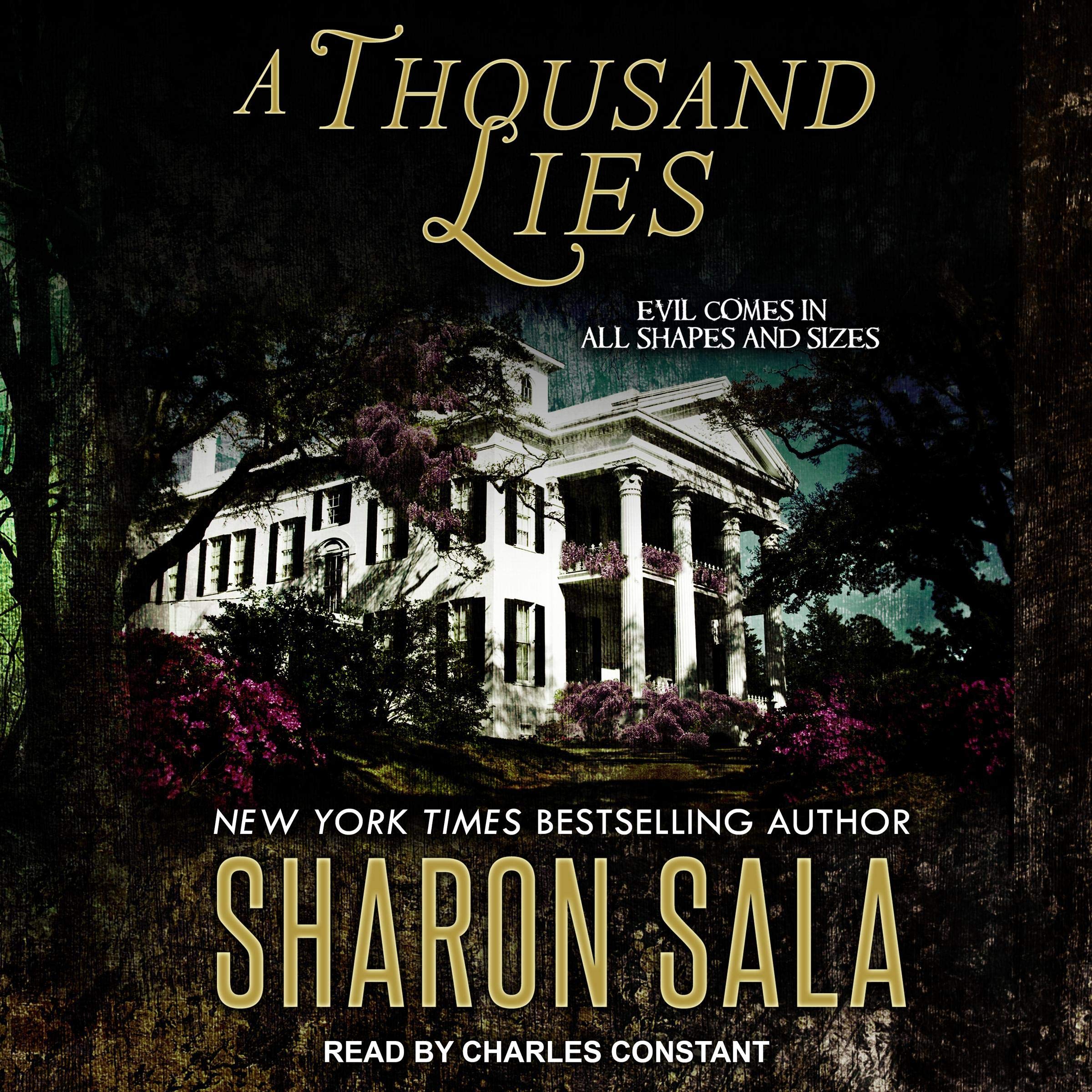 Cover art for A Thousand Lies