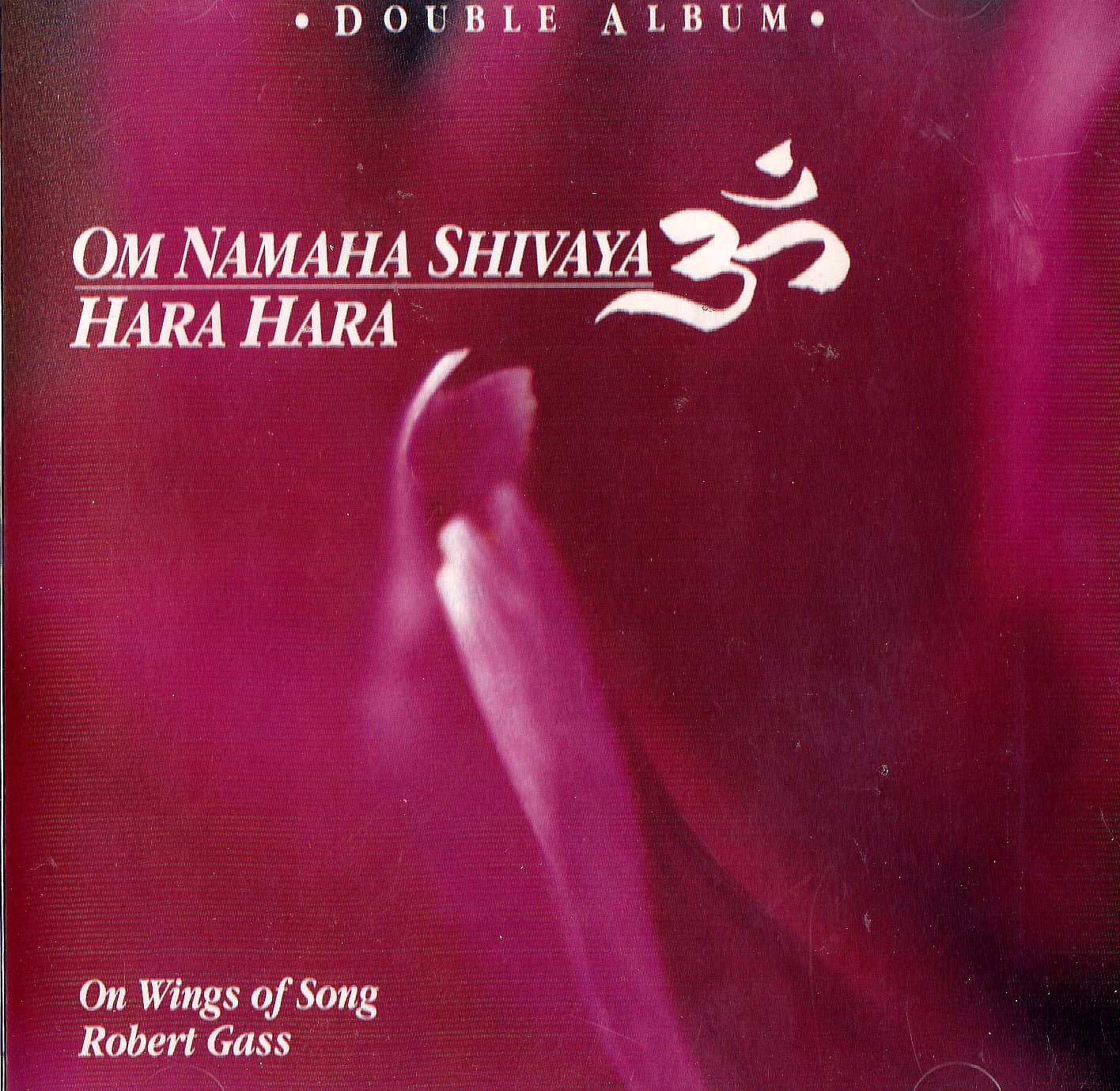 Om Namah Shivaya