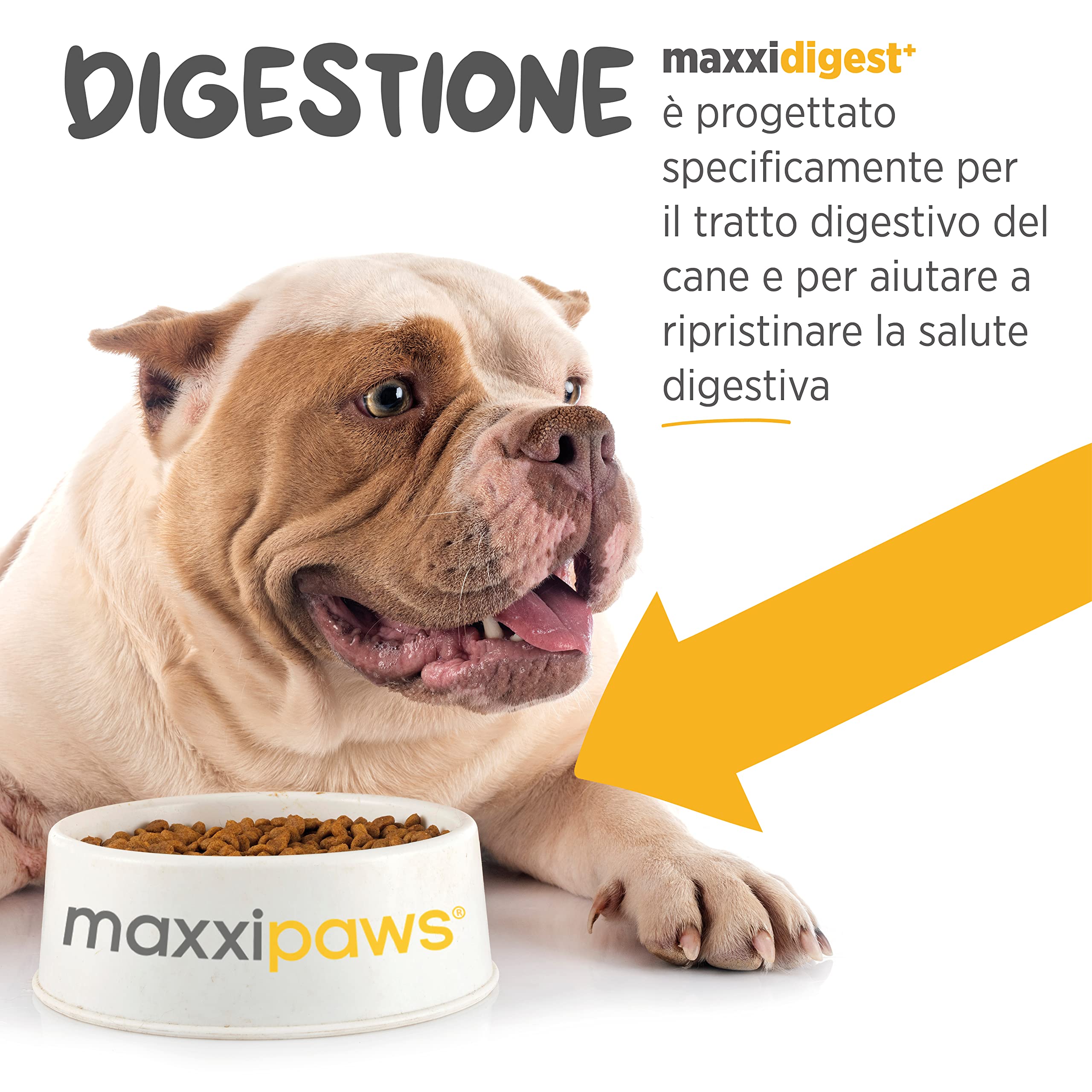 maxxipaws maxxidigest+ Prebiotici e Probiotici per Cani - Integratore per l'Apparato Digerente e il Sistema Immunitario, 200g