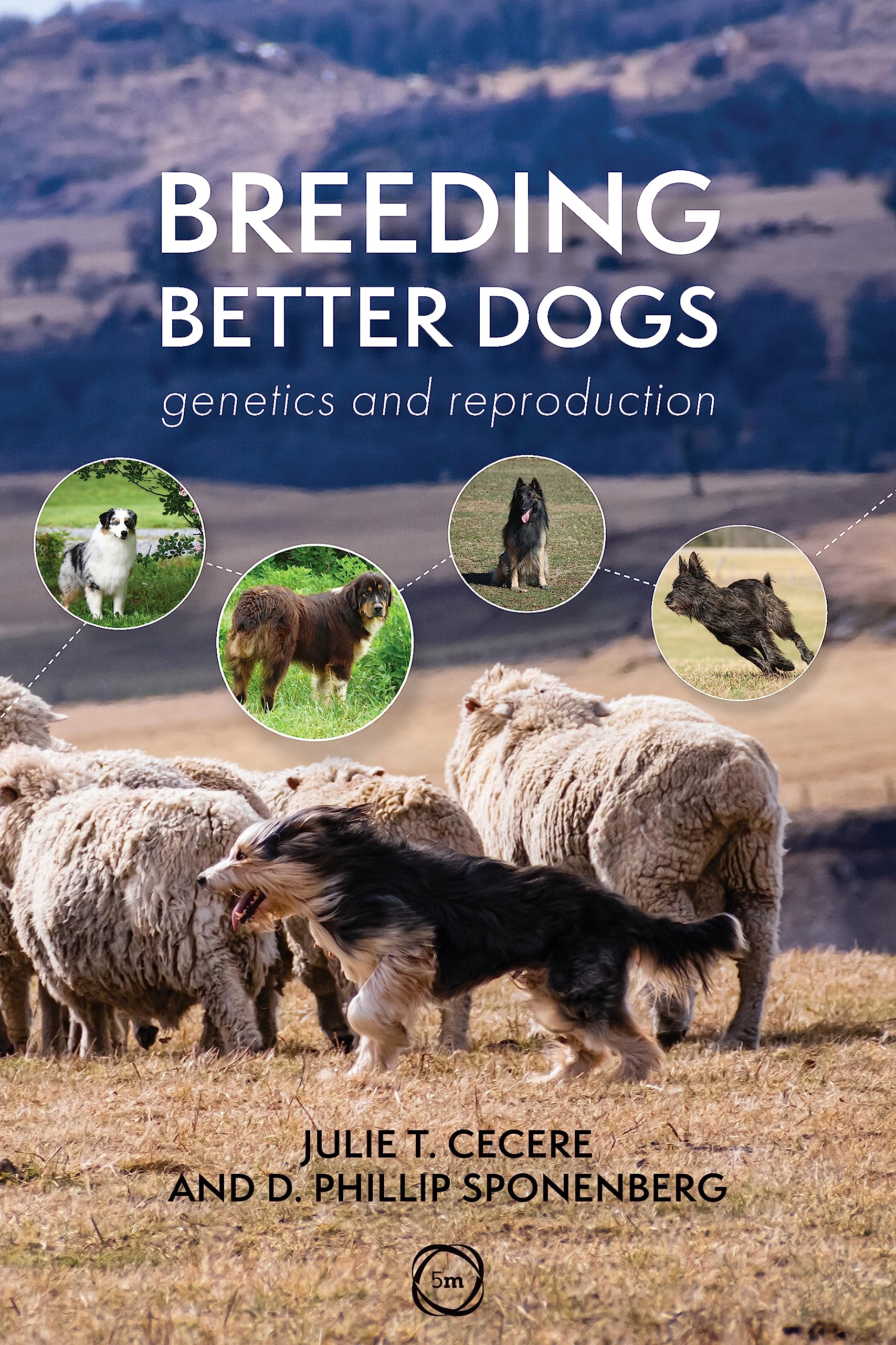 Breeding Better Dogs by D. Phillip Sponenberg (Paperback Book)