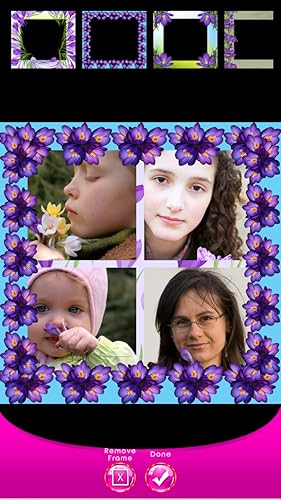 Crocus Photo Collage