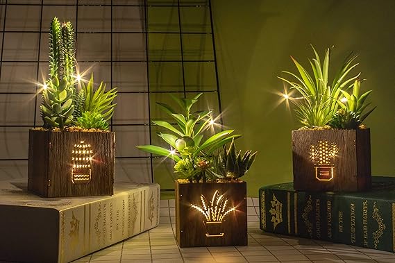 Amazon 人工多肉植物 人工観葉植物三種セット 木箱にledライト付き 人工多肉植物 プラスチック製トピアリー 家庭 オフィス飾り用 テーブル装花 インテリアグリーン 人工観葉植物 オンライン通販