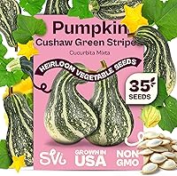 Vista 24 de SVI 550 Large Red Cherry Tomato Seeds (Solanum lycoperscium) – Cherry Tomatoes Seed Packets, Mini Tomatoes On The Vine – Heirloom Vegetable Seeds in