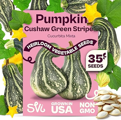 Miniatura 24 de SVI 550 Large Red Cherry Tomato Seeds (Solanum lycoperscium) – Cherry Tomatoes Seed Packets, Mini Tomatoes On The Vine – Heirloom Vegetable Seeds in