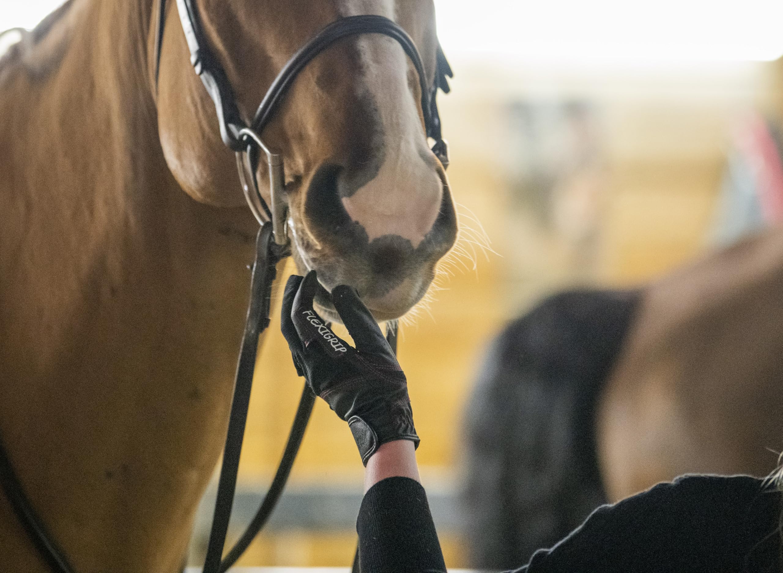 FARRIS Flexgrip - Guantes de equitación para mujeres y hombres, guantes ecuestres acolchados con malla transpirable y pulgares y dedos reforzados