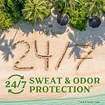 Old Spice Men's Antiperspirant & Deodorant Fiji with Palm Tree, 24/7 Sweat Protection, Gentle on Skin, Long lasting scent, 73 g