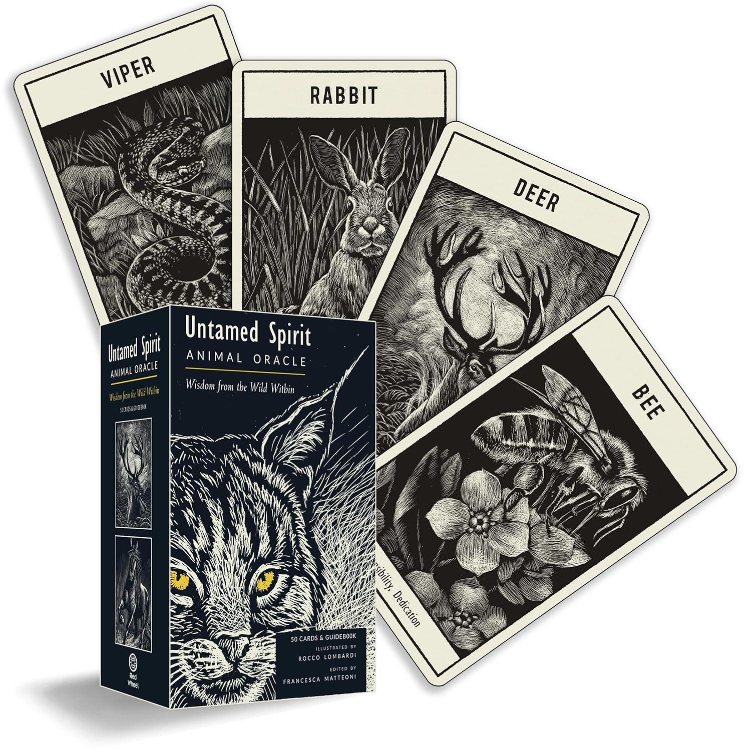 Untamed Spirit: Animal Oracle (50 Cards and Guidebook)