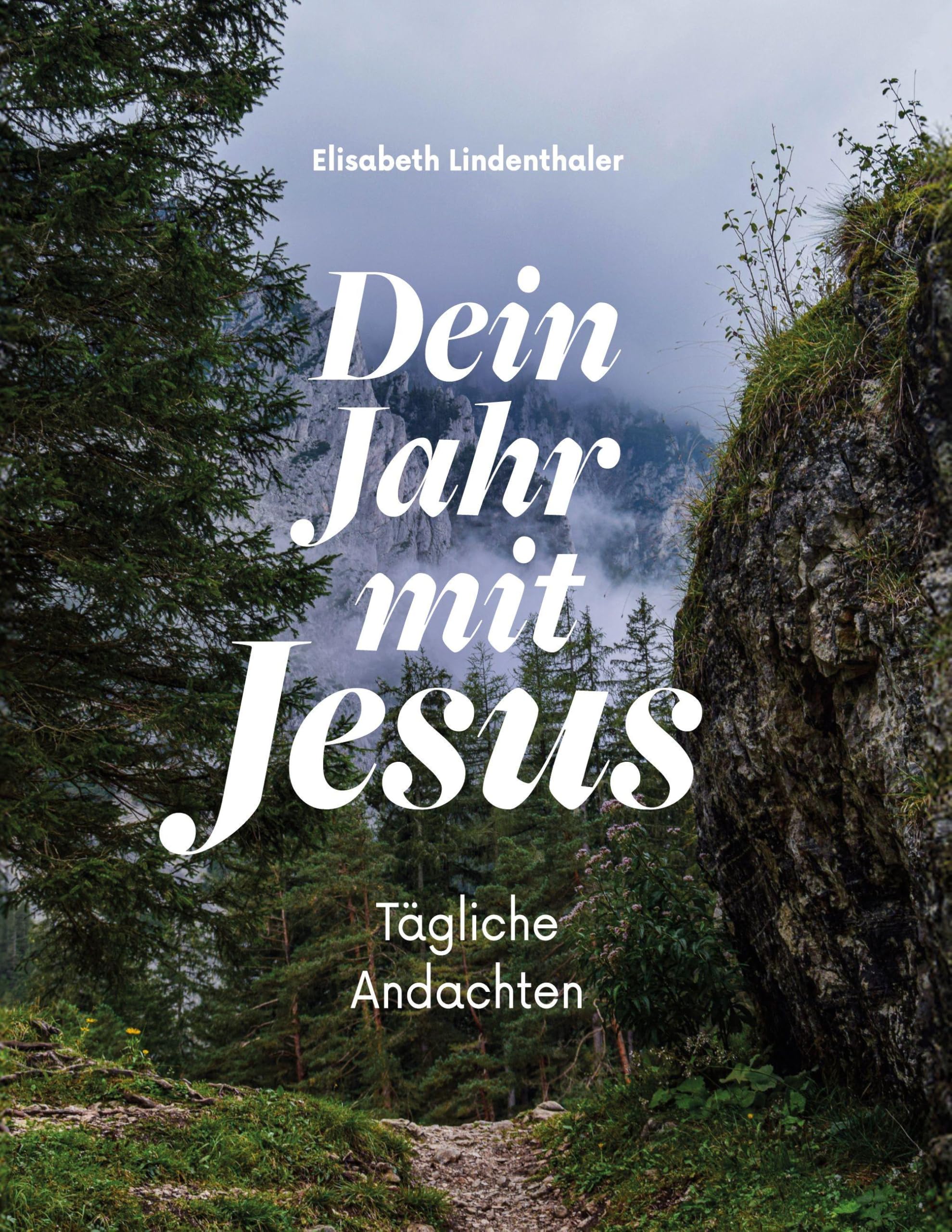 Dein Jahr mit Jesus: Tägliche Andachten