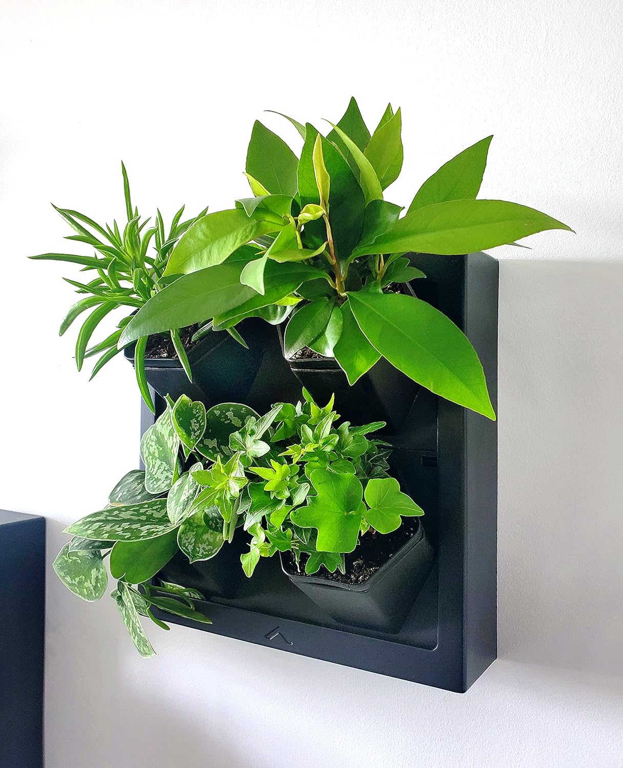 Steady Home™ SelfWatering WallMounted Planter Indoor/Outdoor Decor