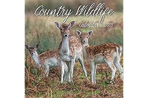 2024 Square Wall Calendar, Country Wildlife, 16-Month Animals Theme