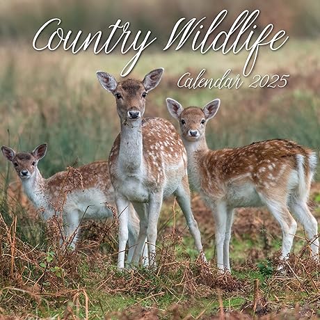 2024 Square Wall Calendar, Country Wildlife, 16-Month Animals Theme