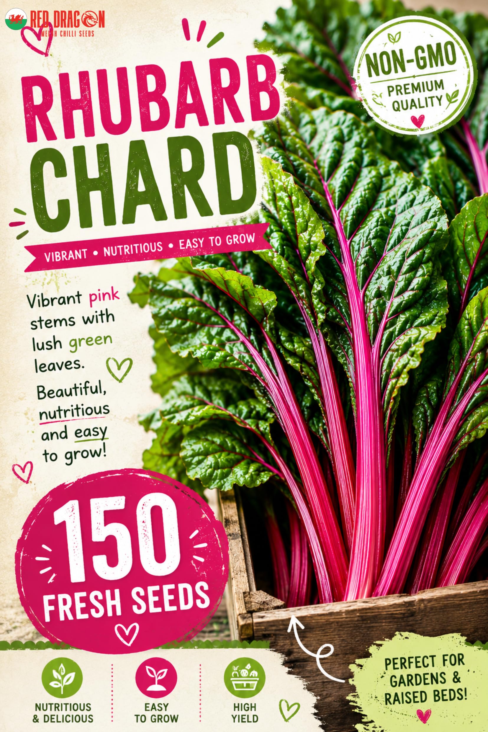 Rhubarb Chard Seeds – Vibrant Pink Stem Swiss Chard – Easy to Grow Leafy Vegetable – Ideal for Raised Beds, Containers & Allotments