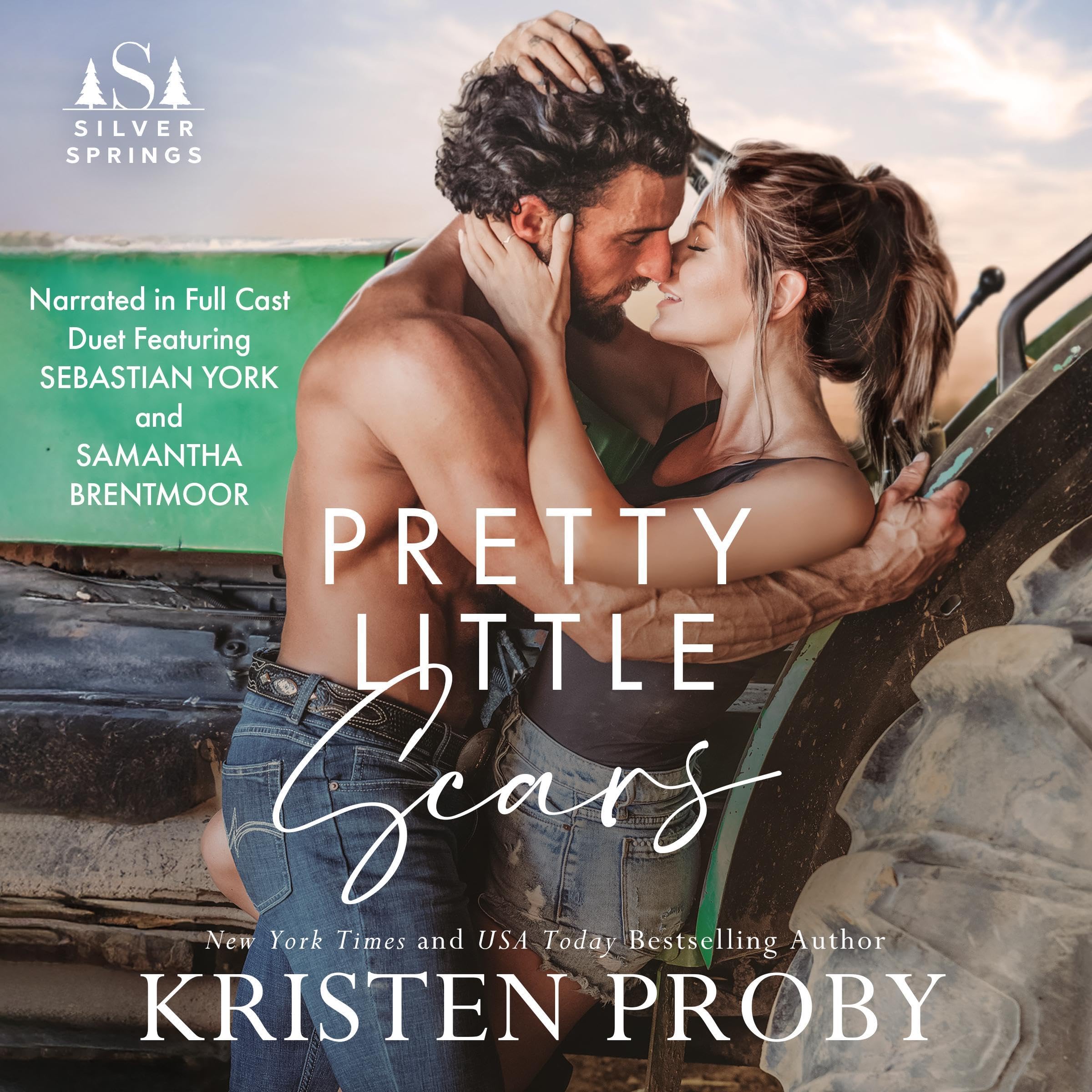 Cover art for Pretty Little Scars