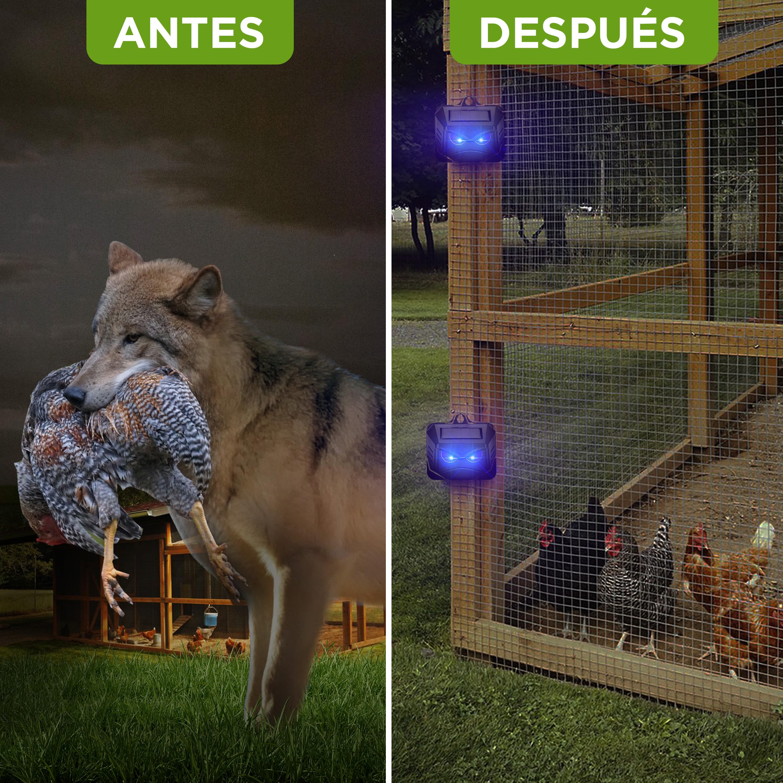 ISOTRONIC Repelente Solar para mapaches, Ciervos, Zorros y jabalíes: Repelente de Fauna Silvestre con luz LED Azul. Disuasivo eficaz con un Alcance Efectivo de 40 m² (4 Unidades).