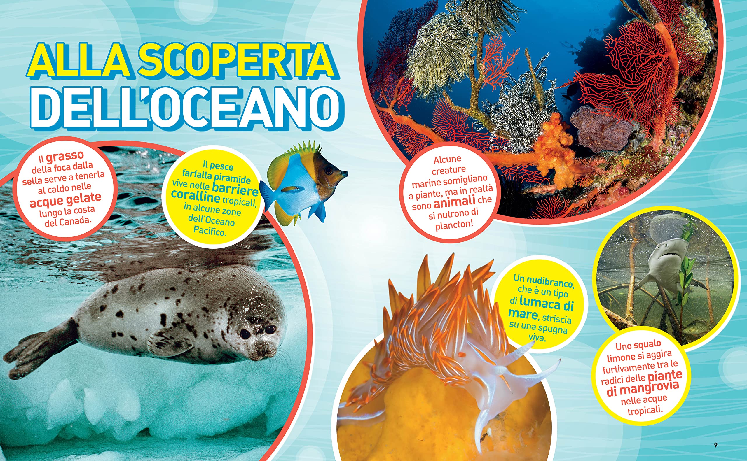 Enciclopedia Oceani - La grande enciclopedia degli oceani | Edizione a colori | Guida completa alla vita marina, Atlante illustrato