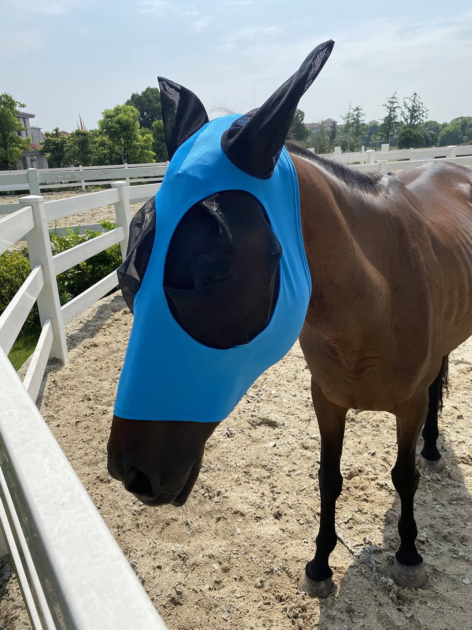 Horse Fly Mask,Fly Masks for Horses with Ears, Comfortable&Elasticity Lycra Upgrade Fly Mask with UV Protection(Sky Blue)