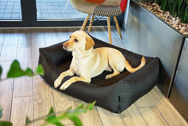 Foto 4 de 8 de 4L Textil Otto Cama Perro Grande, cojín para Perros, Cama para Perros, Funda extraíble Perros