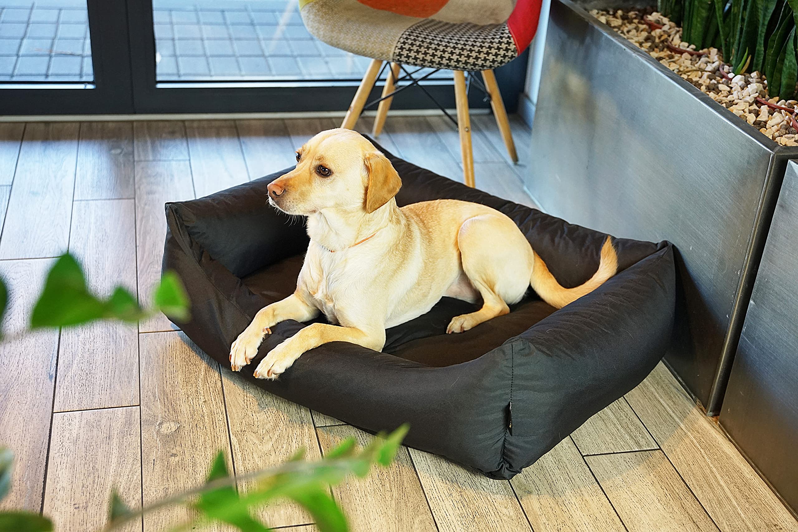 4L Textil Otto Cama Perro Grande, cojín para Perros, Cama para Perros, Funda extraíble Perros, para Perros Impermeable, Mullido cojín Grande, colchón Perro (100x80 cm, Negro)