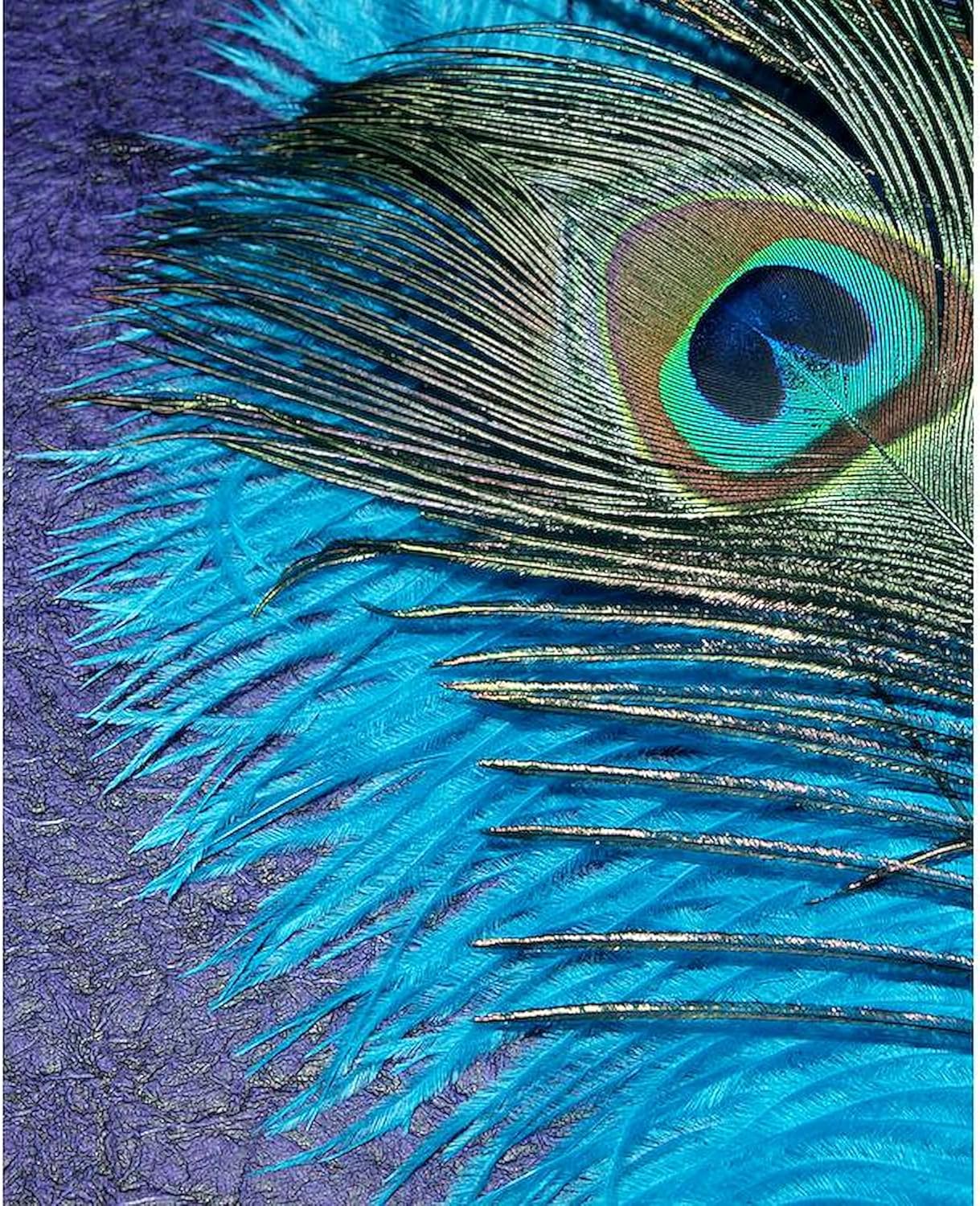 CafePress Purple and Teal Peacock Decorative Picture Frame