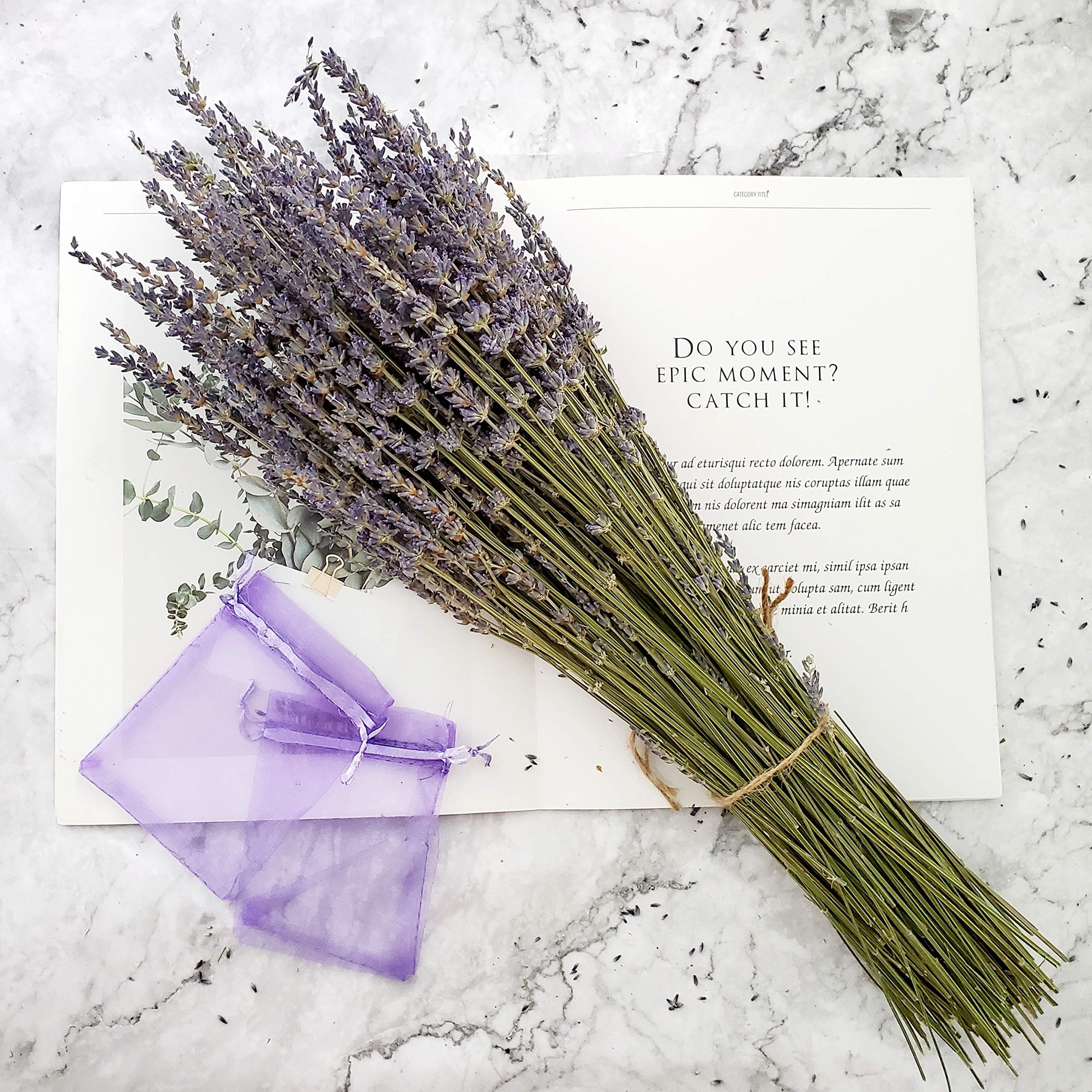 bpa 250 Stems 100% Natural Purple Dried Lavender for DIY Floral Arrangements