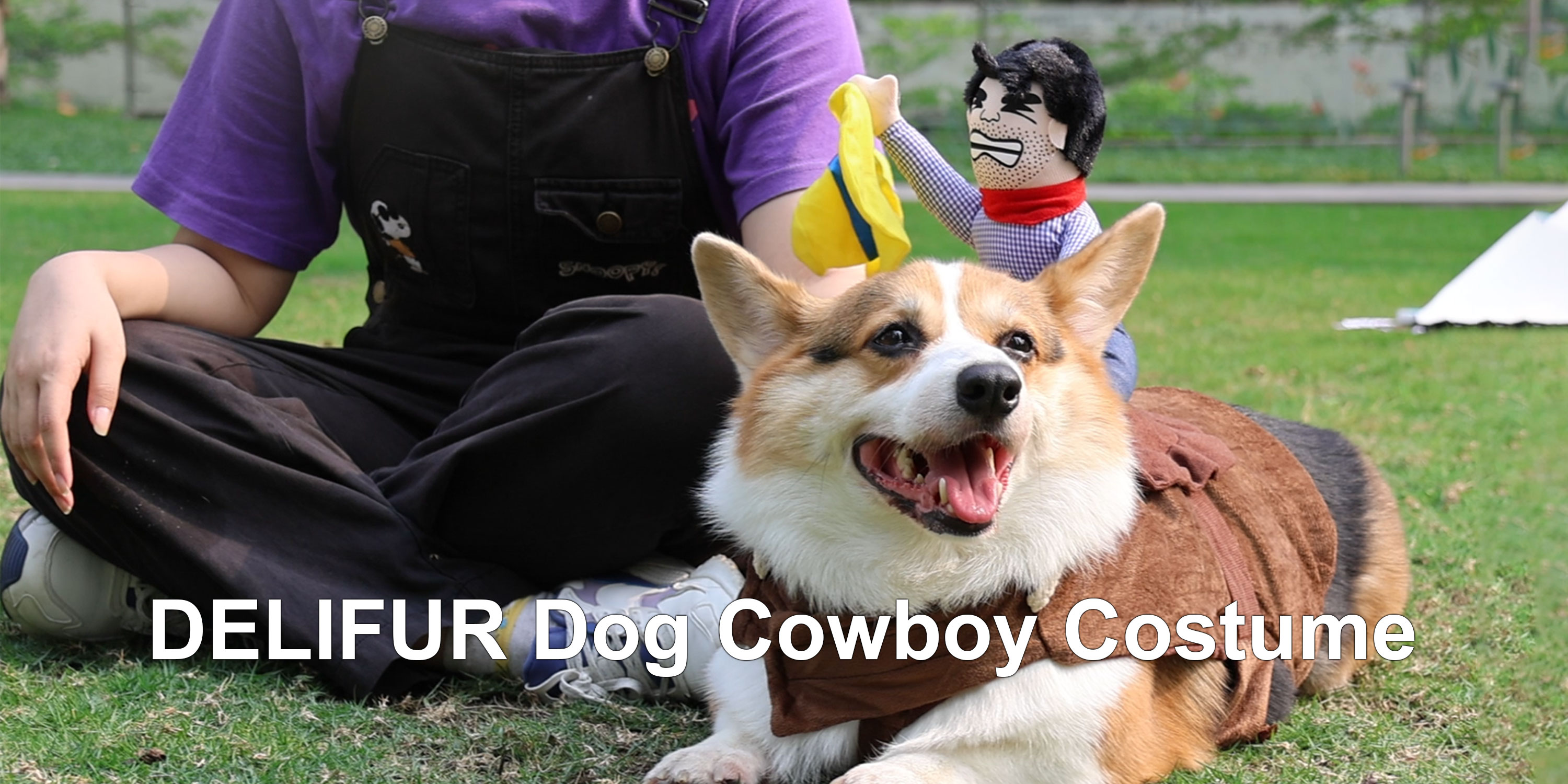 Pet Dog Cosplay Clothes Transfiguration Costume Lion Mane Winter Warm Pet Wig For Large Dog Holiday 2