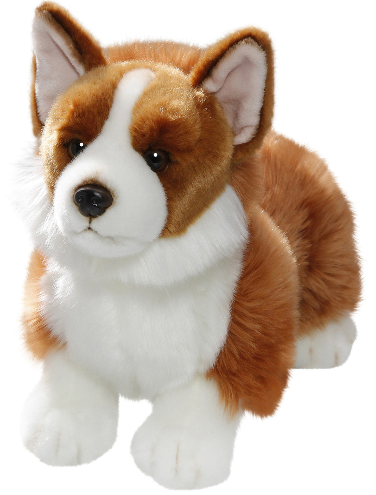 Amazon.com: Carl Dick Corgi Dog 13 inches, 35cm, Plush Toy, Soft