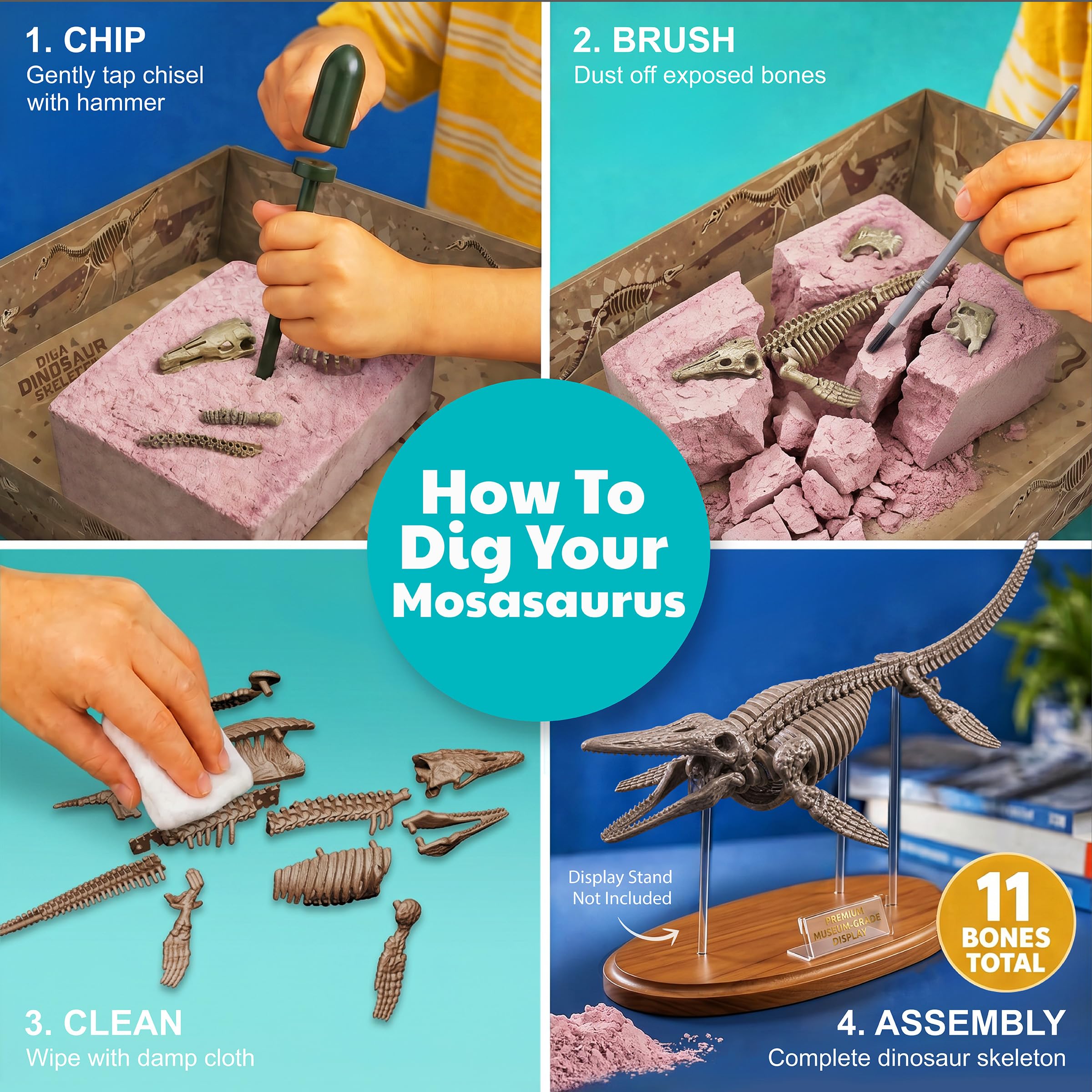 Amazon.com: 4M Dig a Mosasaurus Skeleton Kit for Kids Ages 8-12