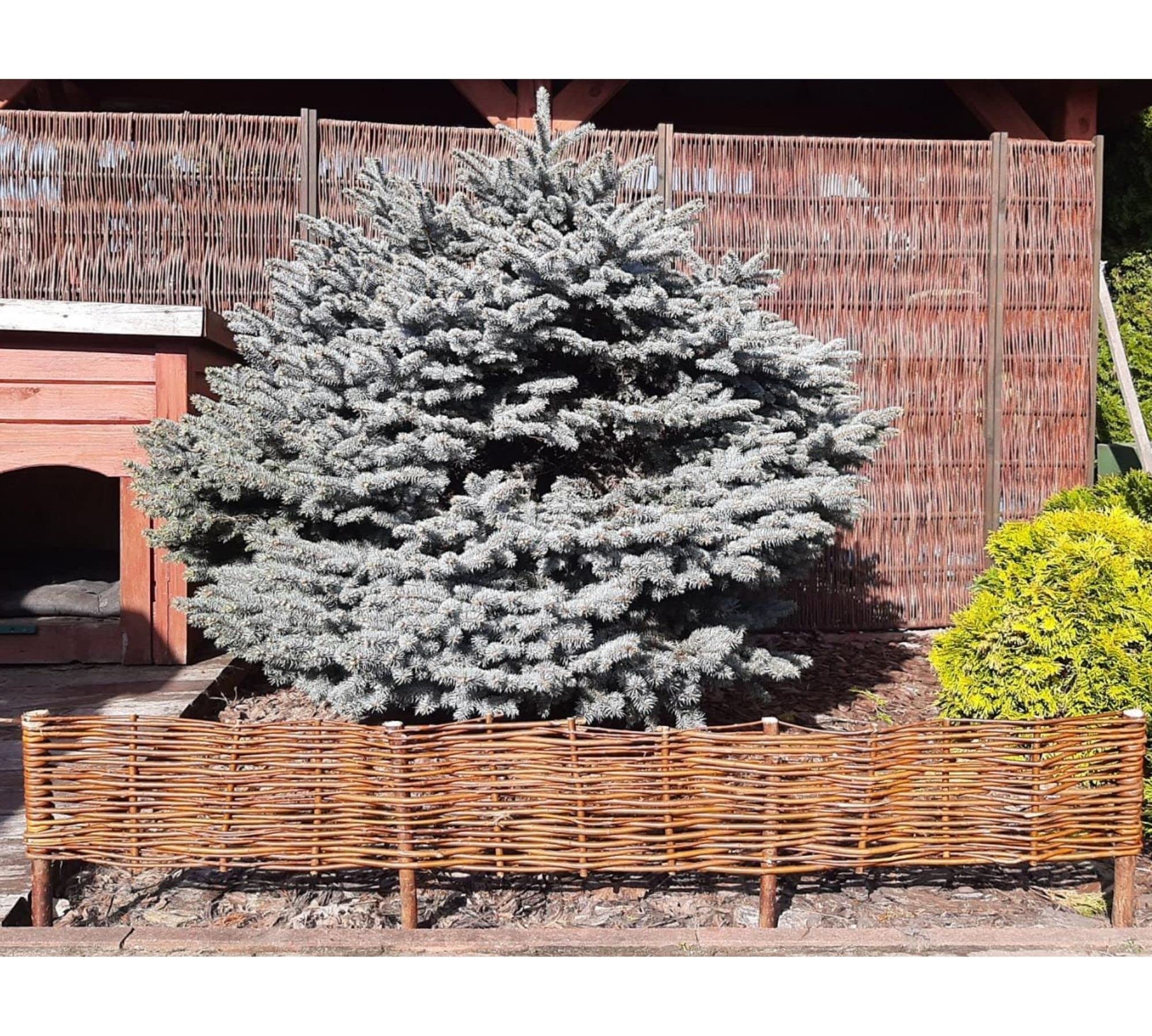 Paquete de 10 Borduras para Jardin - 100 cm x 20 cm - Natural - Hecha a Mano - para Parterres, Huertos, Camas - Vallas para Jardin - Exterior