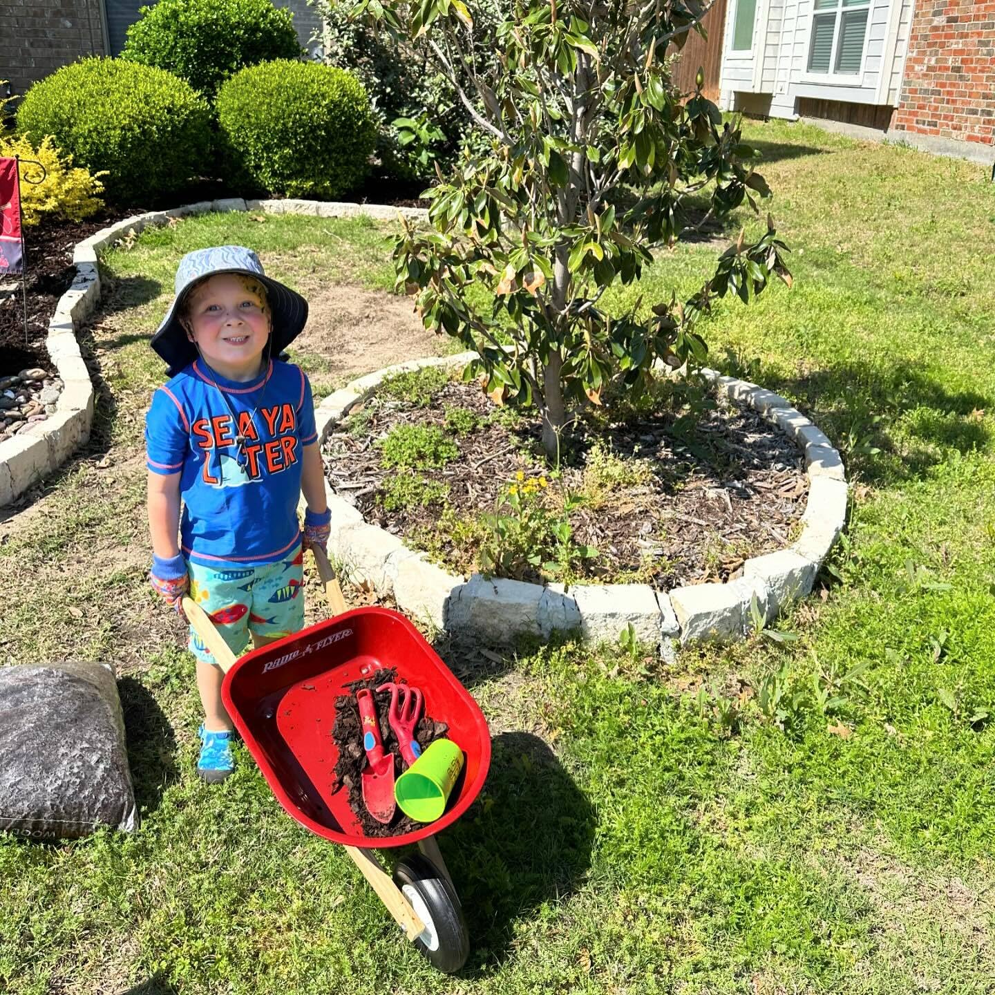 Radio Flyer Brouette pour Enfants, brouette Rouge pour Tout-Petits de 1 à 3 Ans