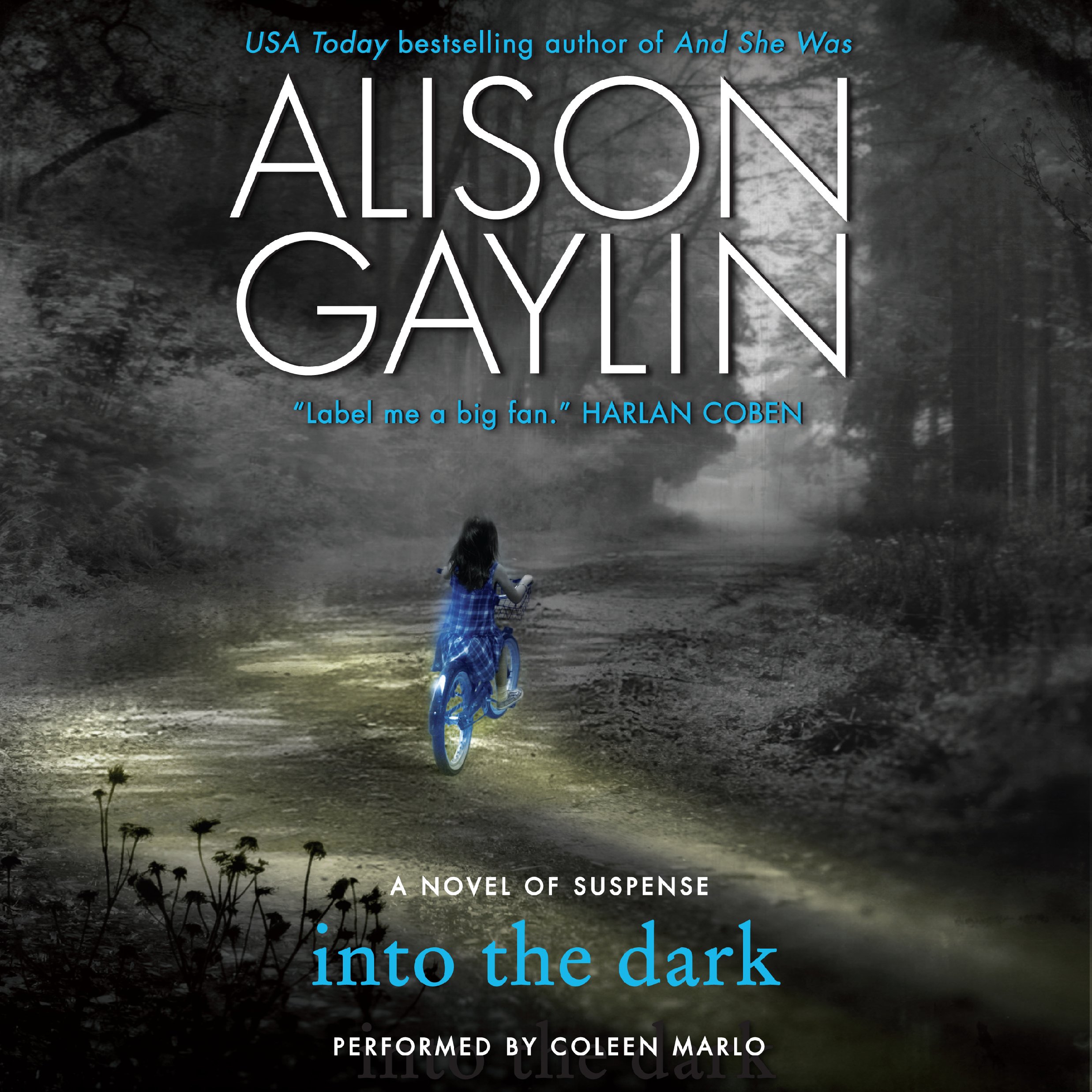 Cover art for Into the Dark