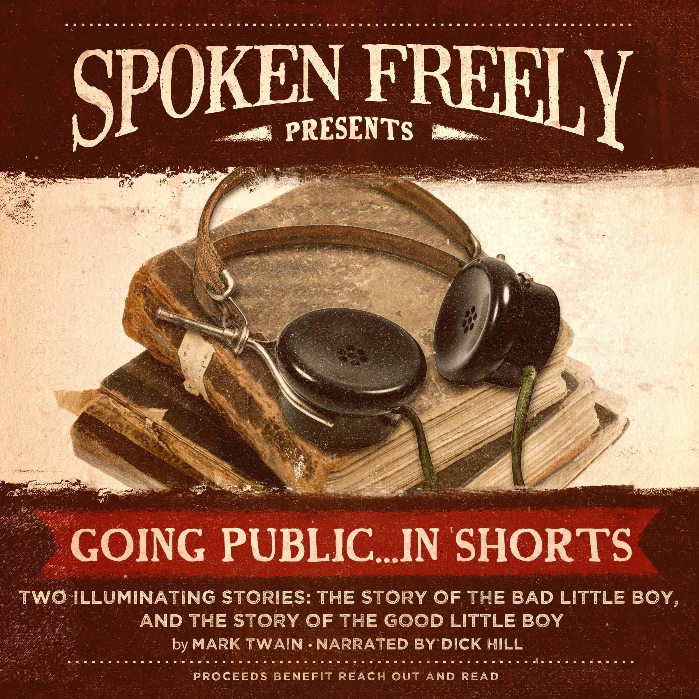 Cover art for The Story of the Bad Little Boy