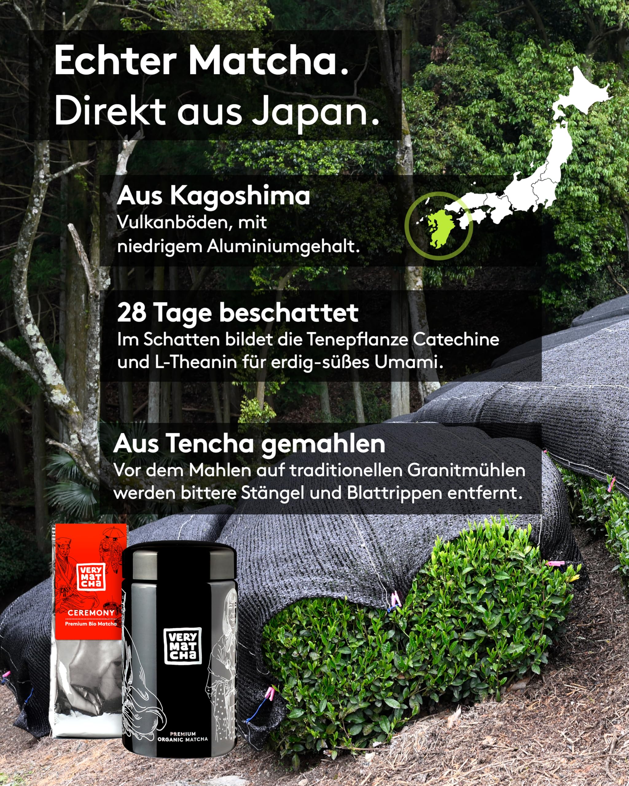 Very Matcha Ceremony Bio-Matcha 30g im Violettglas | Ceremonial Grade aus Japan | Okumidori Cultivar | Erste Ernte, 28 Tage beschattet | aus Tencha in Granitmühlen | für Teezeremonie & puren Genuss