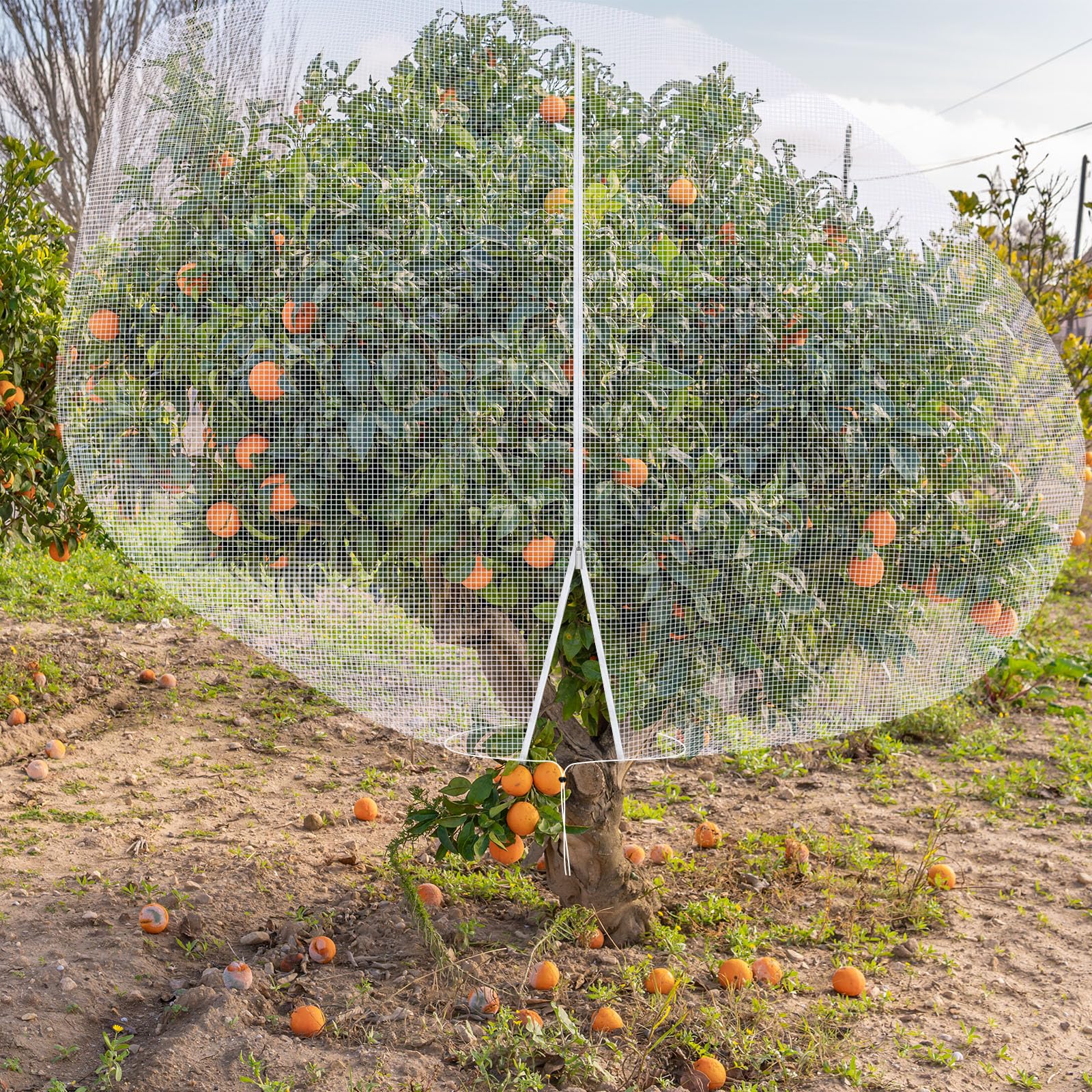 Bolsas grandes de red para árboles frutales de 12 x 12 pies, protector de plantas de jardín con cremallera y cordón, arbustos de arbustos de arándanos, cubiertas de red de malla para