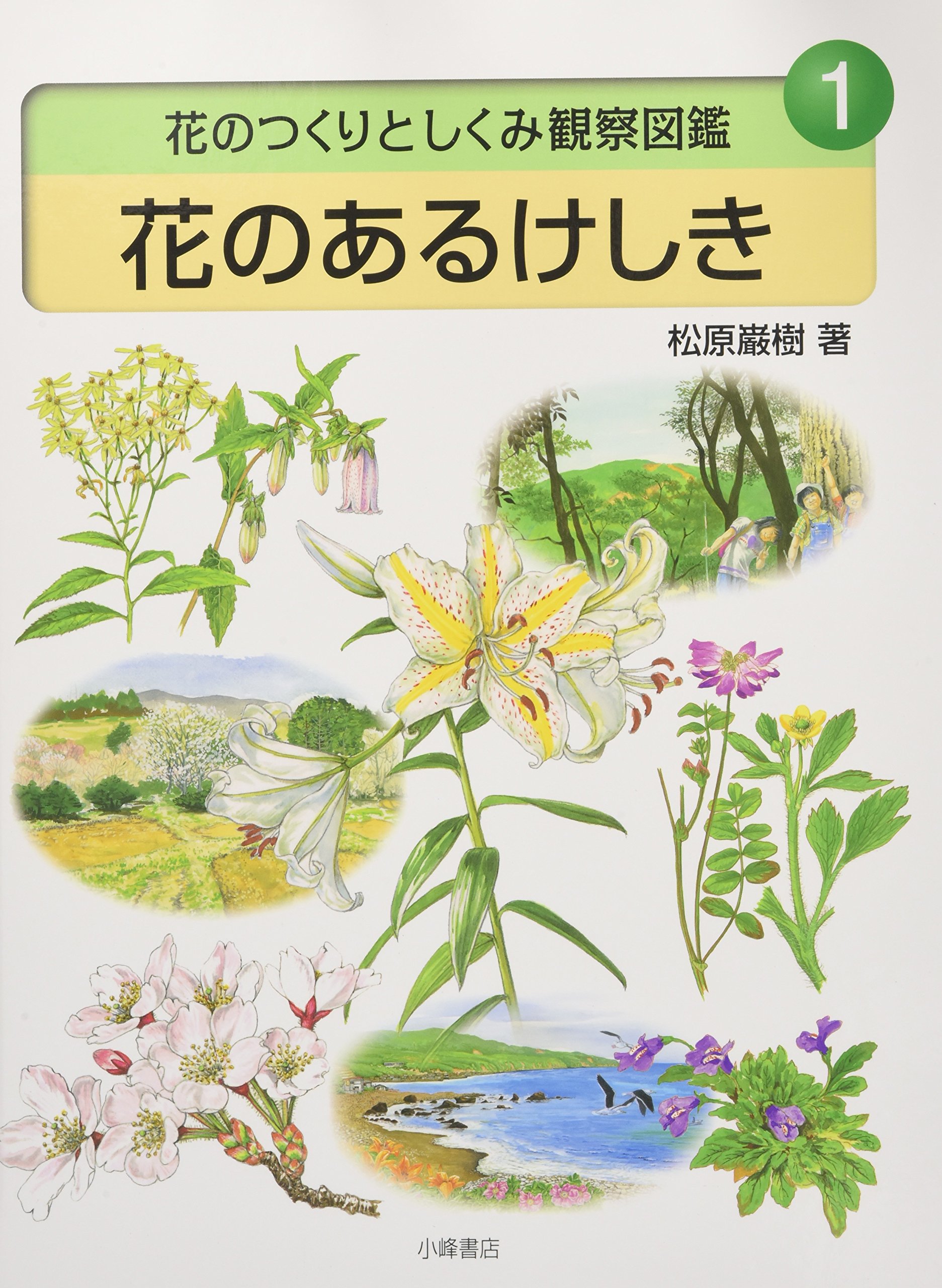身近な野草とキノコ : 花のつくりがよくわかる植物観察図鑑 旺文社 松原巌樹 身近な野草とキノコ : 花のつくりがよくわかる植物観察図鑑