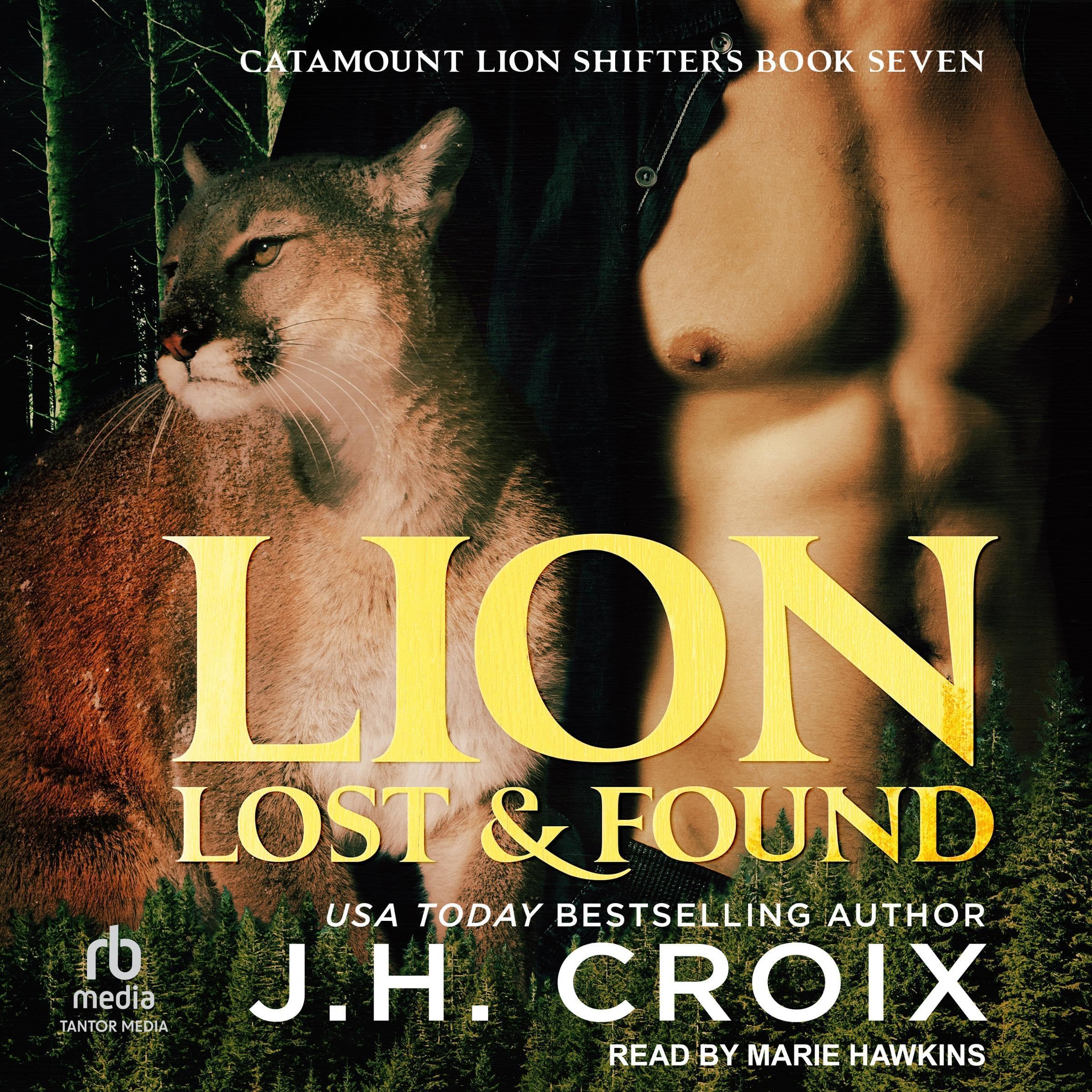 Cover art for Lion Lost &amp; Found