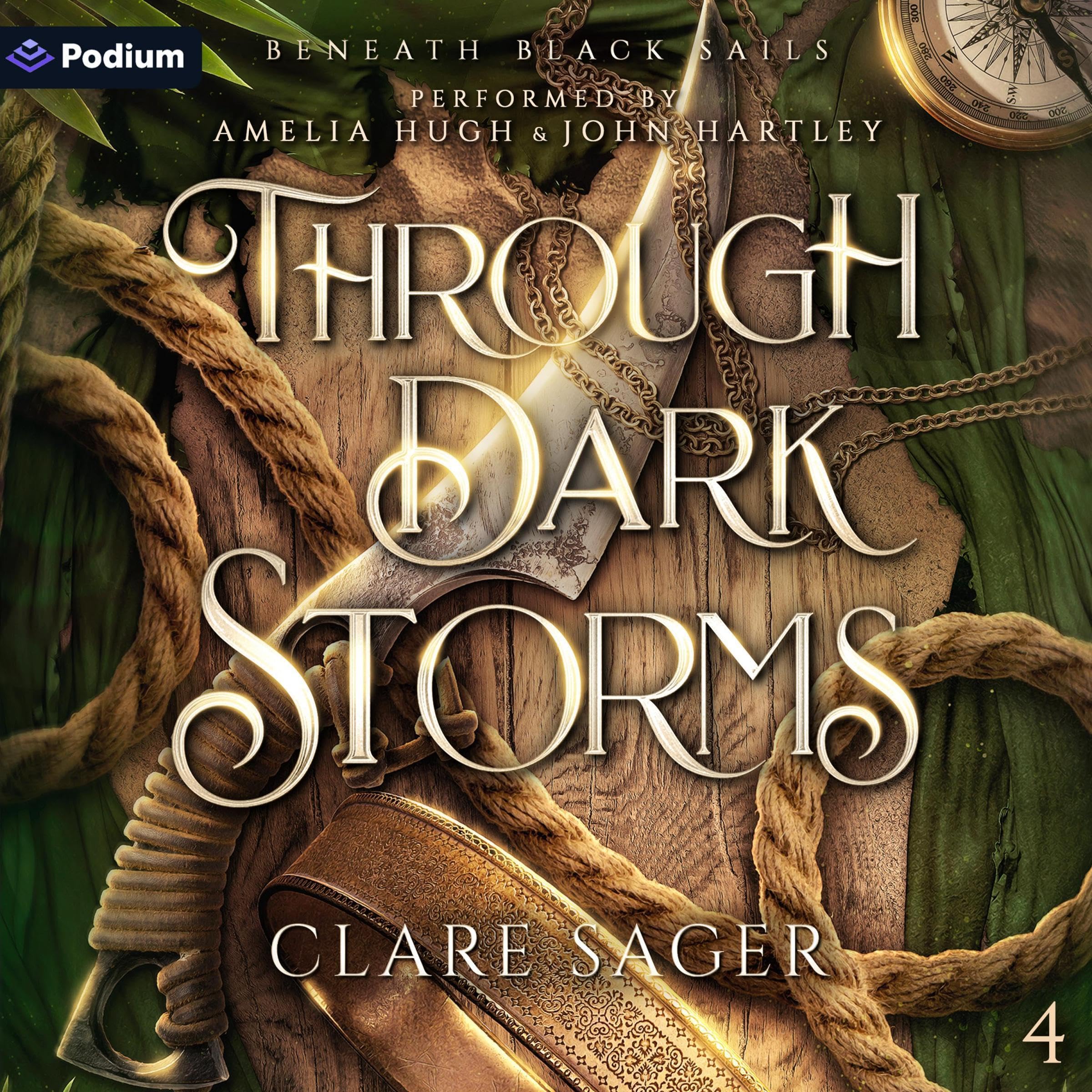 Cover art for Through Dark Storms